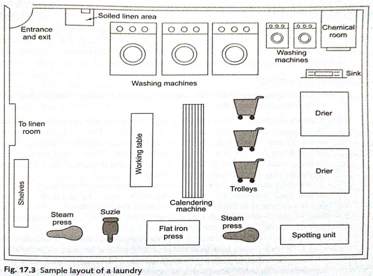 Cách thiết kế layout nhà giặt công nghiệp đạt chuẩn và tối ưu vận hành